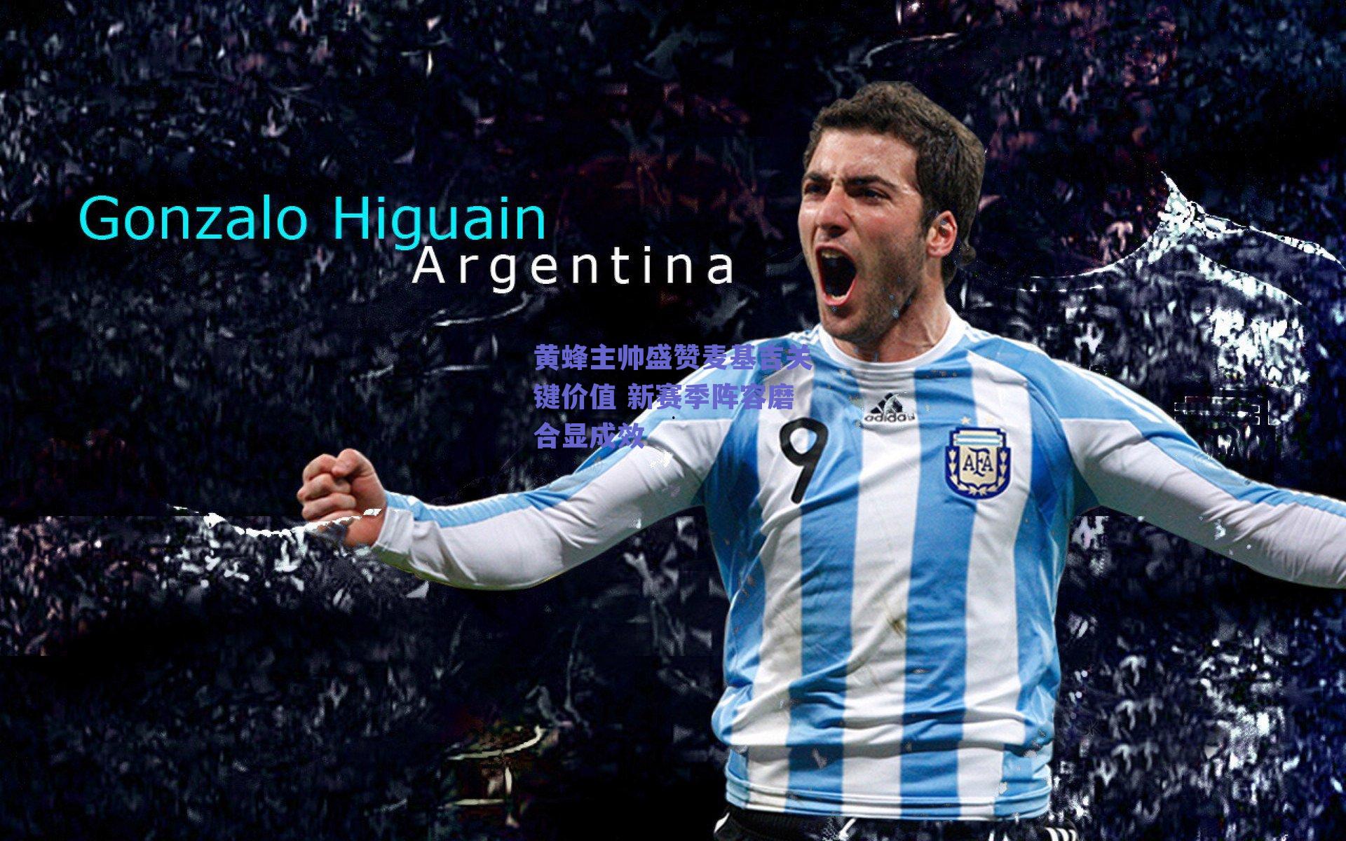 球友体育官网入口-黄蜂主帅盛赞麦基吉关键价值 新赛季阵容磨合显成效