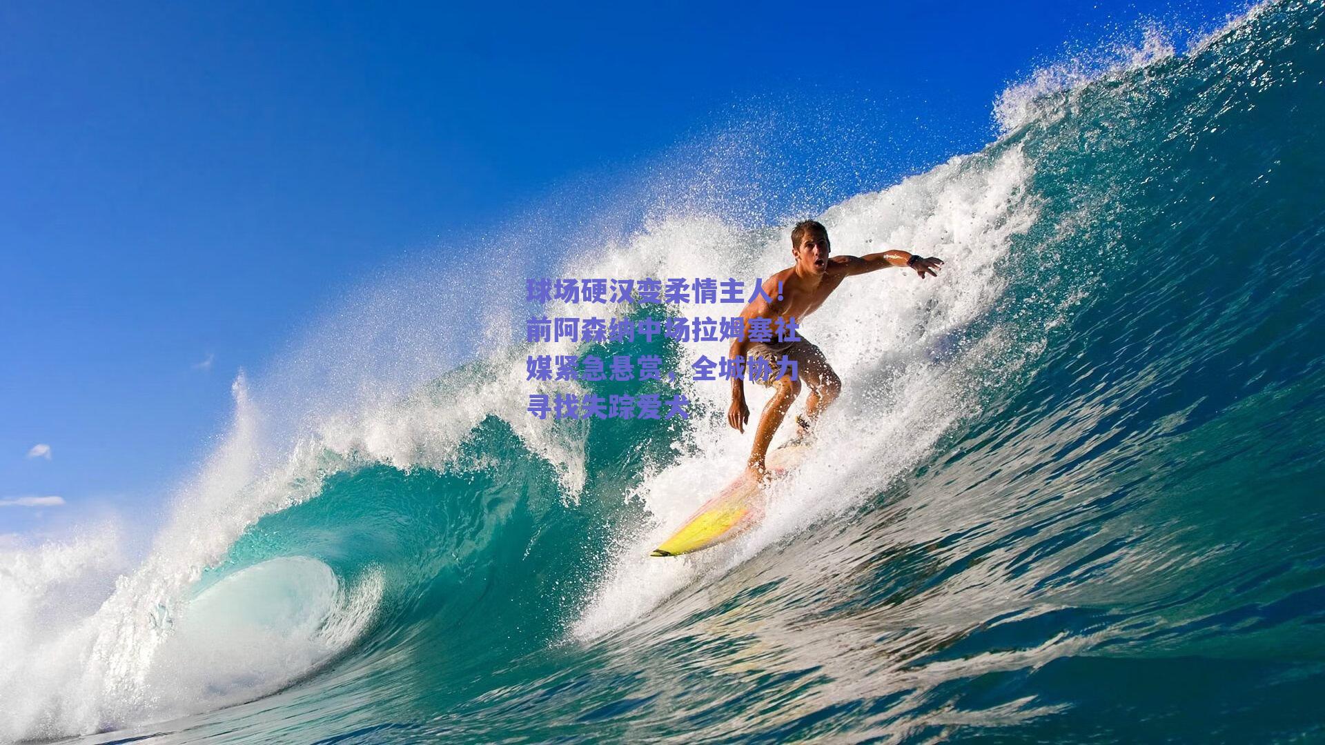 球场硬汉变柔情主人！前阿森纳中场拉姆塞社媒紧急悬赏，全城协力寻找失踪爱犬